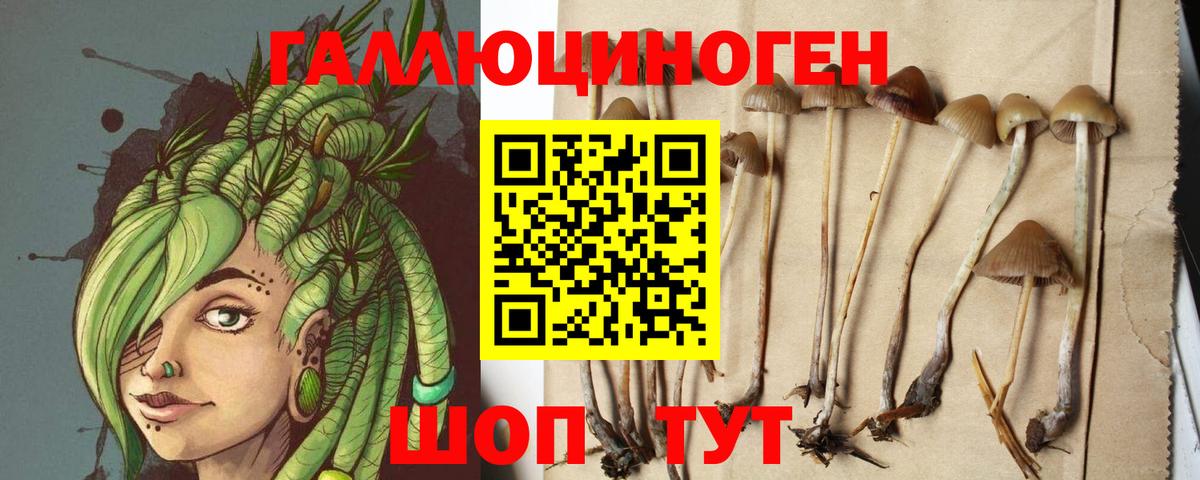 Псилоцибиновые грибы Magic Shrooms Кандалакша