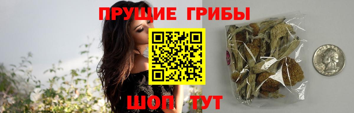 Кандалакша  Галлюциногенные грибы GOLDEN TEACHER  купить наркотики цена  Вход с VPN 
